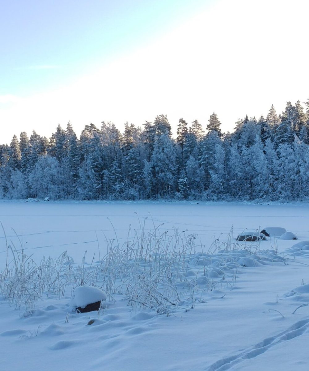 Majoitus Koli - Oma laituri pielisellä