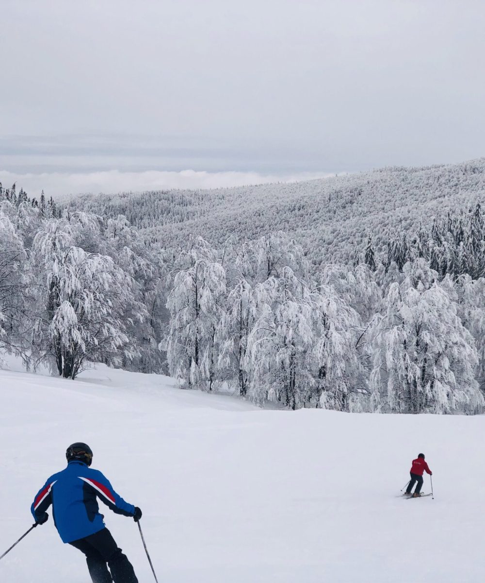skiers-going-down-the-slope-with-view-of-forest-co-2026-01-09-01-04-17-utc